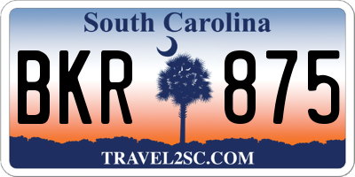 SC license plate BKR875