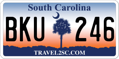 SC license plate BKU246