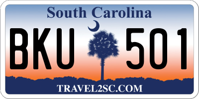 SC license plate BKU501
