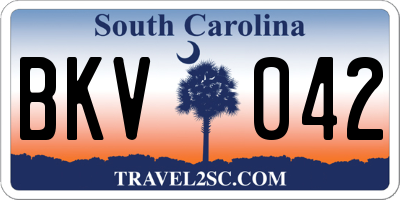 SC license plate BKV042