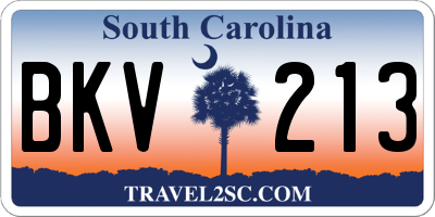 SC license plate BKV213