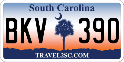 SC license plate BKV390