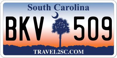 SC license plate BKV509