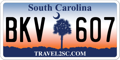 SC license plate BKV607