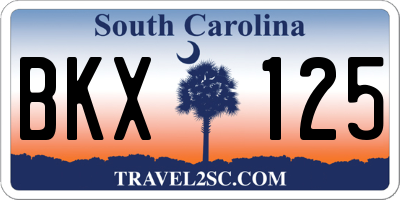 SC license plate BKX125