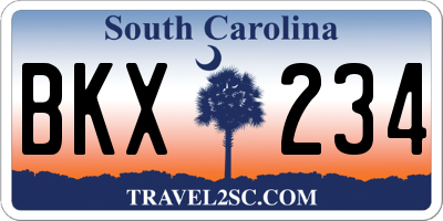 SC license plate BKX234