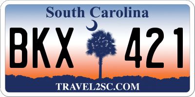SC license plate BKX421