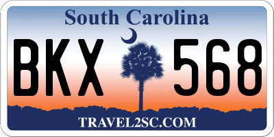SC license plate BKX568