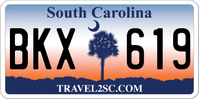 SC license plate BKX619