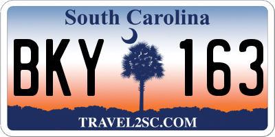 SC license plate BKY163