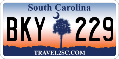 SC license plate BKY229