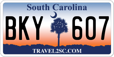 SC license plate BKY607