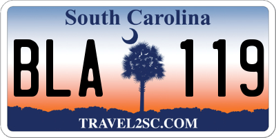 SC license plate BLA119