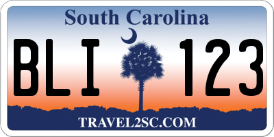 SC license plate BLI123