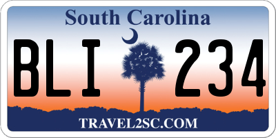 SC license plate BLI234