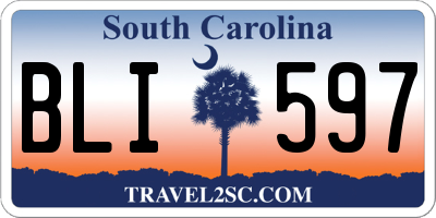 SC license plate BLI597