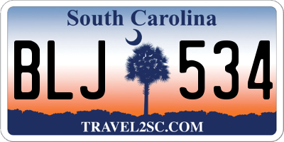 SC license plate BLJ534