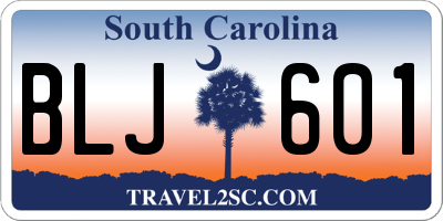 SC license plate BLJ601