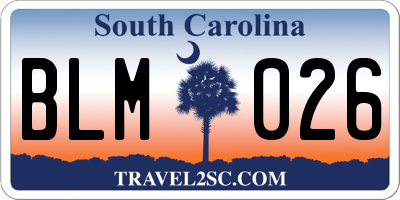 SC license plate BLM026