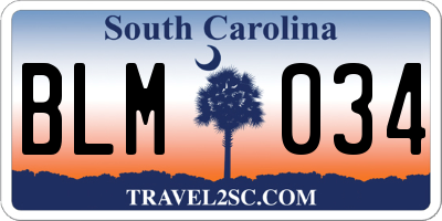 SC license plate BLM034
