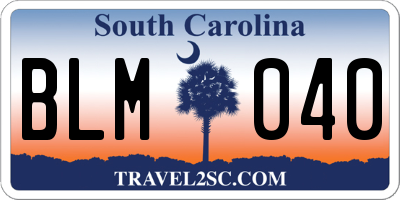 SC license plate BLM040