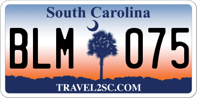 SC license plate BLM075