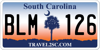 SC license plate BLM126