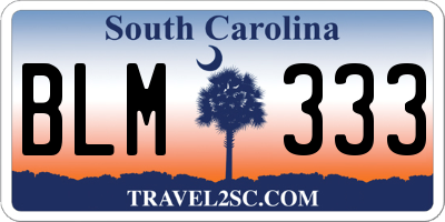 SC license plate BLM333