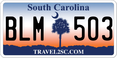 SC license plate BLM503