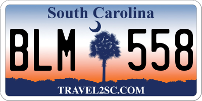 SC license plate BLM558