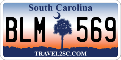 SC license plate BLM569