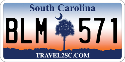 SC license plate BLM571