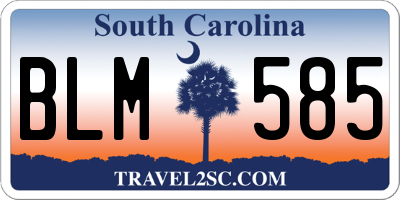 SC license plate BLM585