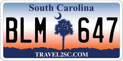 SC license plate BLM647