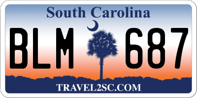 SC license plate BLM687