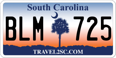 SC license plate BLM725