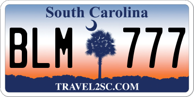 SC license plate BLM777