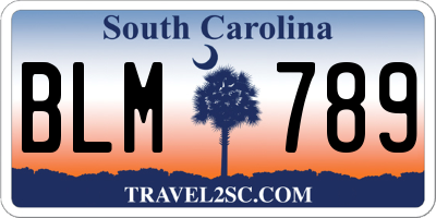 SC license plate BLM789