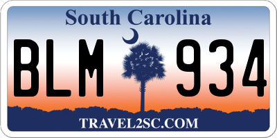 SC license plate BLM934