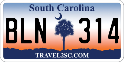 SC license plate BLN314