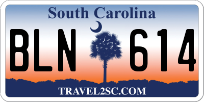SC license plate BLN614