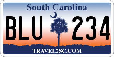 SC license plate BLU234