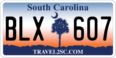 SC license plate BLX607