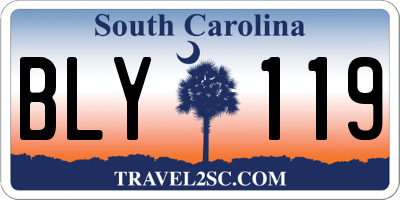 SC license plate BLY119