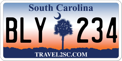 SC license plate BLY234
