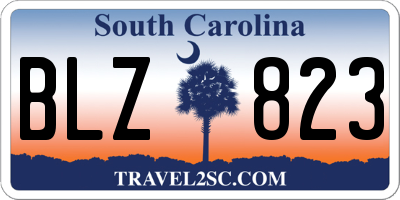 SC license plate BLZ823