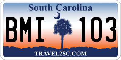 SC license plate BMI103