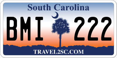 SC license plate BMI222