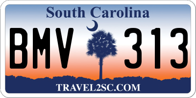 SC license plate BMV313