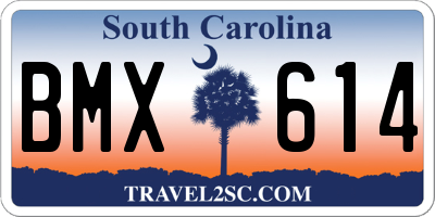 SC license plate BMX614